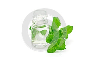 Peppermint essential oil in glass and fresh mint on background, isolated