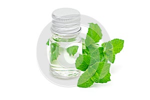 Peppermint essential oil in glass and fresh mint on background, isolated