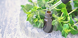 Peppermint essential oil in a small bottle. Selective focus