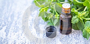 Peppermint essential oil in a small bottle. Selective focus