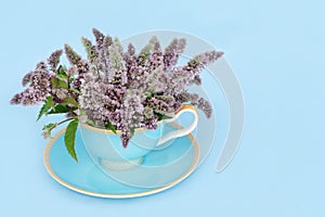 Peppermint Flower Leaf Tea to Relieve Stress and Anxiety