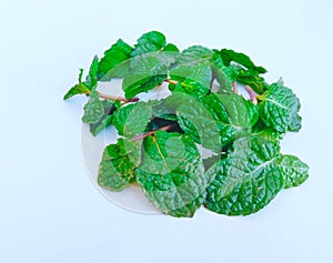 Peppermint fresh green mint leaves aromatic flavoring pudina herb vegetable food ingredient image closeup view photo photo