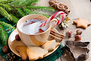 Peppermint hot chocolate with gingerbread cookies