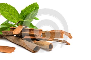 peppermint (Mentha piperita) and cassia-bark