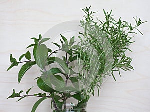 peppermint plant (Mentha piperita) and summer savory plant (Satu