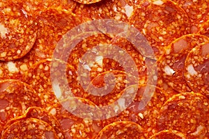 Pepperoni or Chorizo Slices Pattern. Ingredients for meat pizza.