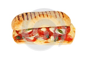 Pepperoni panini isolated