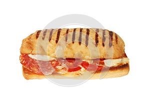 Pepperoni panini isolated photo