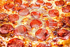 Pepperoni pizza closeup photo