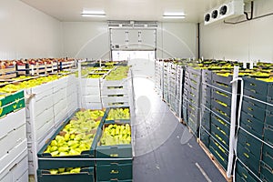 Peppers Apples Pallet