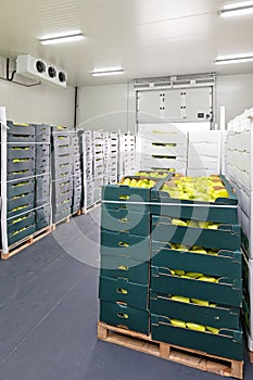 Peppers Cold Storage