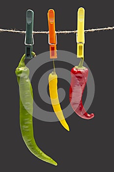 Peppers hanging on clothespins. Vegetable vitamin food. Colored hot chili