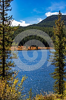 Peppers Lake Provincial Recreaction Area Clearwater County Alberta Canada
