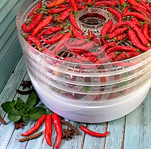 Peppers and other vegetables in dryer