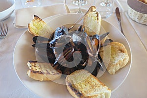 Peppery dish of mussels and croutons