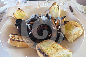 Peppery dish of mussels and croutons