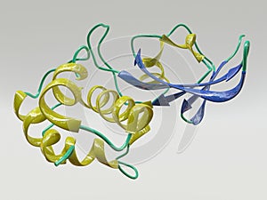 Peptide Molecule photo