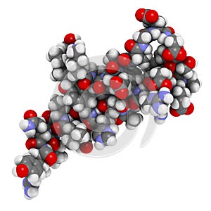 Peptide YY (PYY) appetite reducing polypeptide