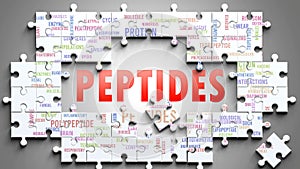 Peptides as a complex subject, related to important topics spreading around as a word cloud