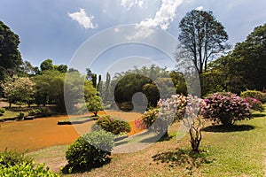 Peradeniya botanical garden in Kandy