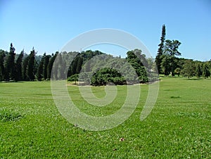 Peradeniya Royal Botanical Gardens - kandy - Sri lanka