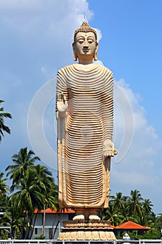 Peraliya Buddha Statue in Hikkaduwa photo