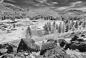 Perazzo Meadows and the Little Truckee River, infrared photo