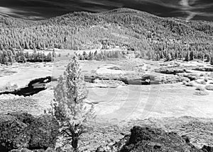 Perazzo Meadows and the Little Truckee River, infrared photo