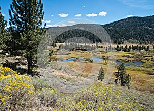 Perazzo Meadows