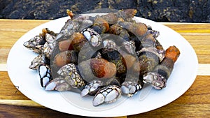 Percebes Gooseneck Barnacles on a Plate