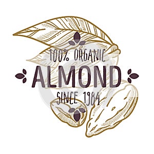 100 percent organic almond nut in shell and cracked open label for all natural food packaging design