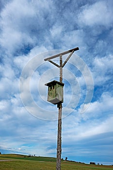 Perch for birds of prey with a birdhouse in the Bavarian countryside