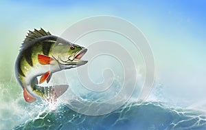 Perch fish jumps out of water realistic illustration.