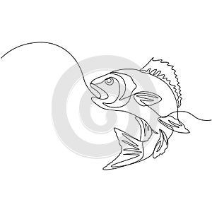 Perch. One line fish design silhouette. Logo design. Hand drawn minimalism style vector illustration.