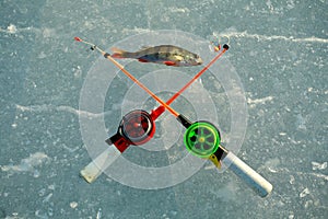 Perch and Two Fishing Rods