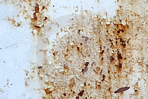 Perched on a rusty steel plate.