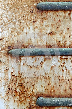 Perched on a rusty steel plate.