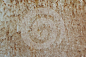 Perched on a rusty steel plate.