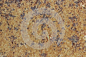 Perched on a rusty steel plate.