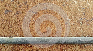 Perched on a rusty steel plate.