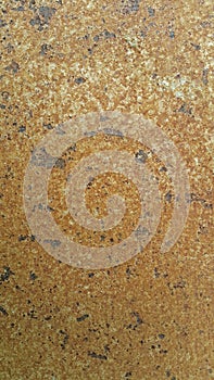 Perched on a rusty steel plate.