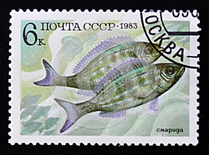 Perciformes (Percomorphi, Acanthopteri) from food fish series, Scott catalog 5165 A2470 6k blue yellow brown, circa 1983