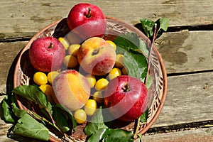 Percy, apples, and cherry plums are in a flat ceramic plate on a wooden table