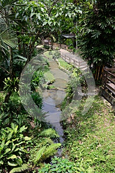 Perdana Botanical Garden