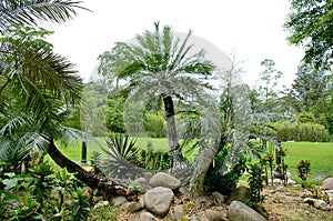 Perdana Botanical Garden