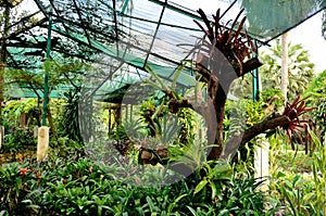 Perdana Botanical Garden