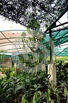 Perdana Botanical Garden