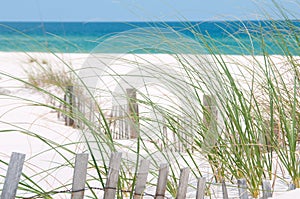 Perdido Key Sand Dune