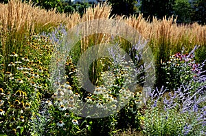 Perennial beds mulched with dark stone gravel with a predominance of ornamental grasses