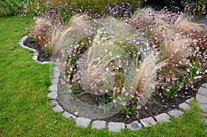 Perennial beds with ornamental grasses and pink perennials. the edge of the flowerbed into arches and ripples. park staircase made